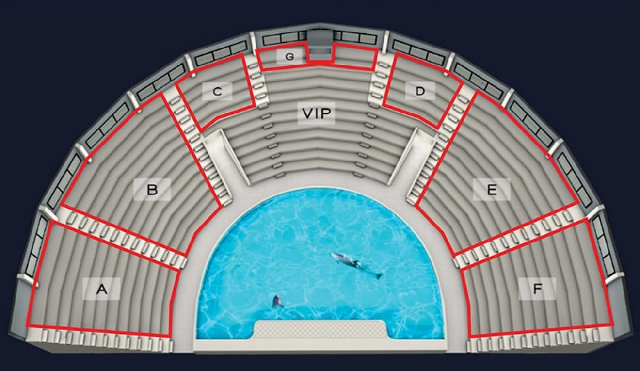 Dubai Dolphin Show