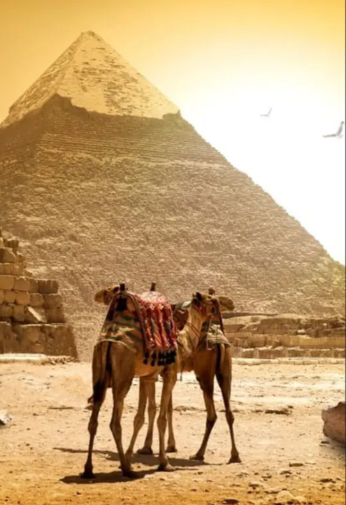 Ancient Egypt Tour – UAE National Day Special