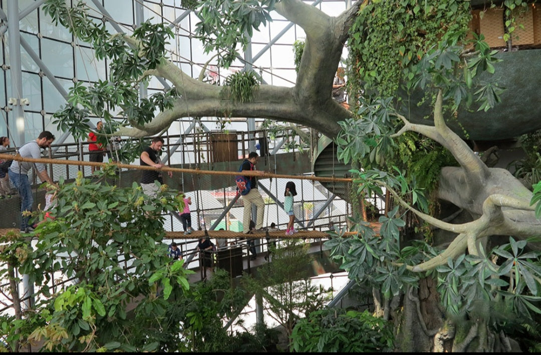 The Green Planet Dubai