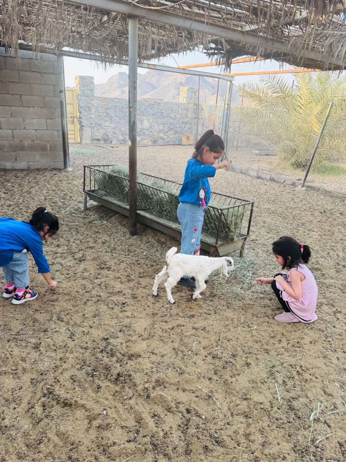 Green Haven Farmhouse – Premium Farm Stay